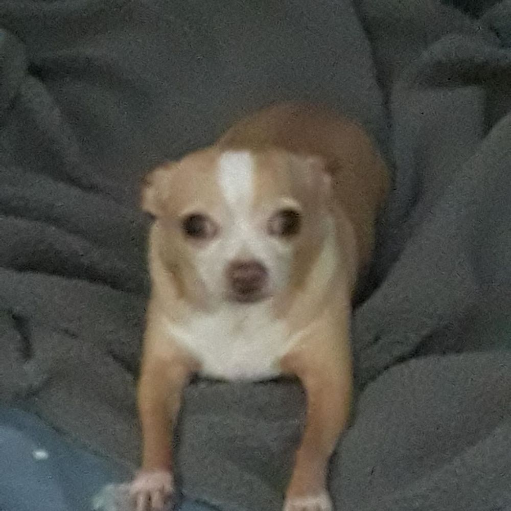 Meet your Posher, Lorenia